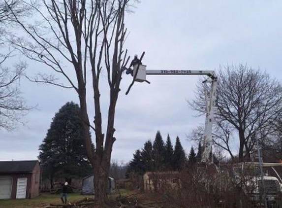 J & J Tree Services - Herkimer, NY