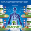 Mushroom Remedy LLC gallery