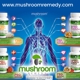 Mushroom Remedy LLC