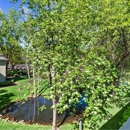 Woodbine - Apartments
