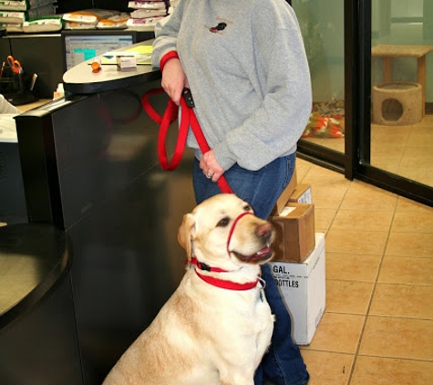 Middendorf Animal Hospital - Florence, KY