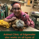 Animal Clinic of Edgewater - Veterinary Clinics & Hospitals