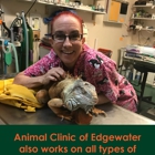 Animal Clinic of Edgewater