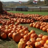 Ebbert Farm Market gallery