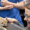 Healing Paws Veterinary Clinic gallery