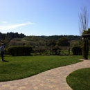 Dutcher Crossing Winery - Wine