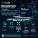 Hydra Business Suite - Marketing Consultants