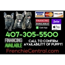 Frenchie Central - Pet Breeders