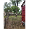 Perez Landscape & Tree Services gallery