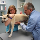 Pet Care Animal Hospital