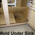 Texas Mold Consultants