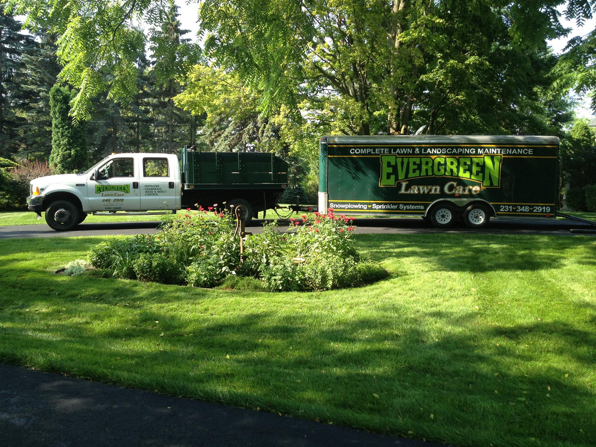 evergreen lawn care