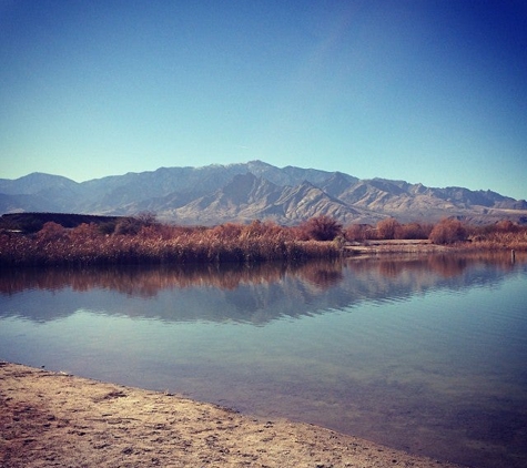 Roper Lake State Park - Safford, AZ