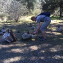 Pinnacles National Park