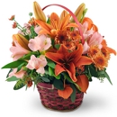 Frey Florist - Flowers, Plants & Trees-Silk, Dried, Etc.-Retail