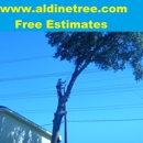 Aldine Tree Services Houston Stump Grinding - Tree Service