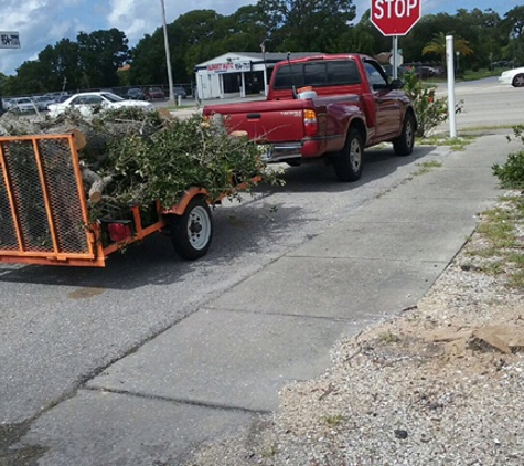 Lon's Lawn & Tree Services - Sarasota, FL