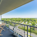 Chestnut Hill Tower