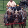 Wyoming Saddle Company gallery