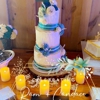 Moose Cakes gallery