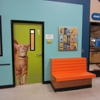 Banfield Pet Hospital gallery