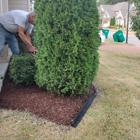 Mower Lawn and Landscape