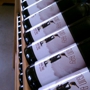 Penguin Bay Winery