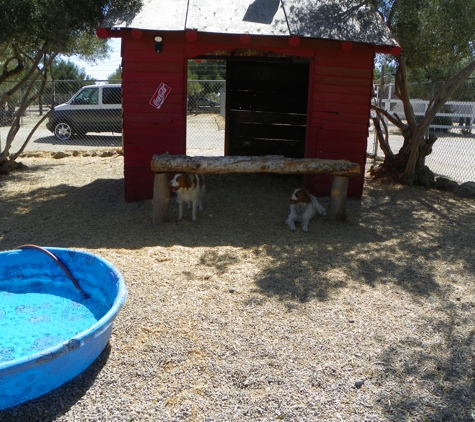 Custom Dog Training Thee Boarding Ranch - Littlerock, CA