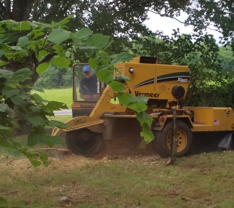 Carolina Tree Service - Burlington, NC. Grinding a stump