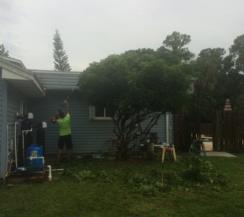 A Penny Saved - West Palm Beach, FL. Taking care of a tree