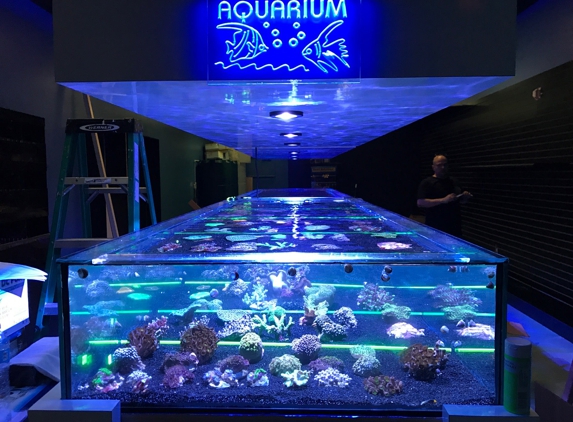 Neptunes Aquariums - Hialeah, FL
