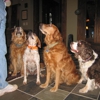 Monroe County Animal Hospital gallery