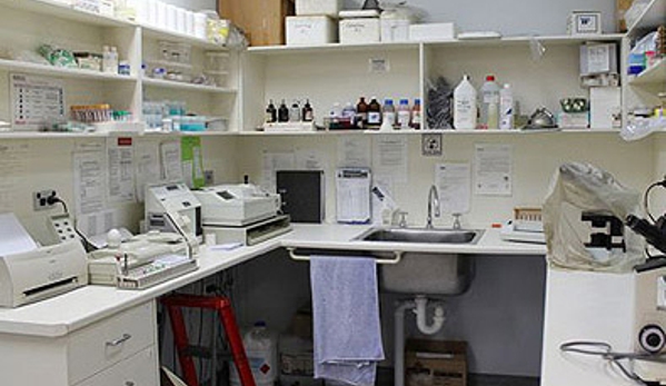 East Bundaberg Veterinary Hospital - Bundaberg East, QLD