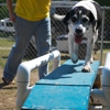 Traverse City KOA gallery