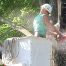 Southern Tree Service - Tree Service