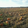 Rock Creek Farm gallery