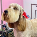 Woof Gang Bakery & Grooming Estero - Pet Services