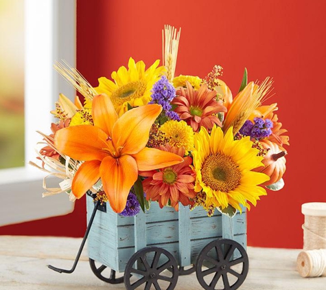 Oakbrook Florist & Flower Delivery - Mountain View, CA