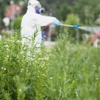 Hi-Tech Pest Control gallery