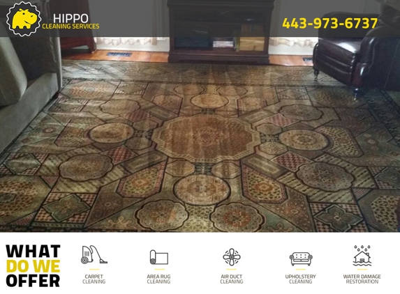 Hippo Carpet Cleaning Ellicott City - Ellicott City, MD