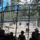 Big Bear Alpine Zoo at Moonridge - Places Of Interest