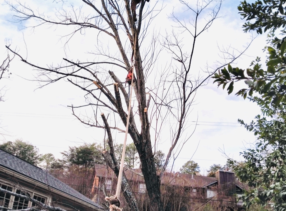 Emerald tree service - Alabaster, AL