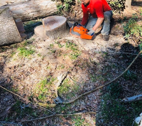 Emerald tree service - Alabaster, AL