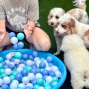 Olive & Company Pet Spa and Retreat - Pet Boarding & Kennels