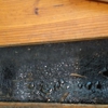 Power Pro Remediation gallery