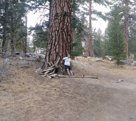 Mt San Jacinto State Park - Idyllwild, CA