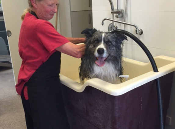Sandy Bay Holistic Veterinary Clinic - Sandy Bay, TAS