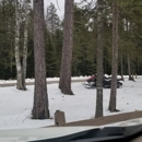 Up North Lodge