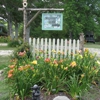 Daylilies of the Valley gallery