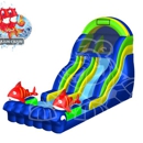 C & T Inflatables - Inflatable Party Rentals